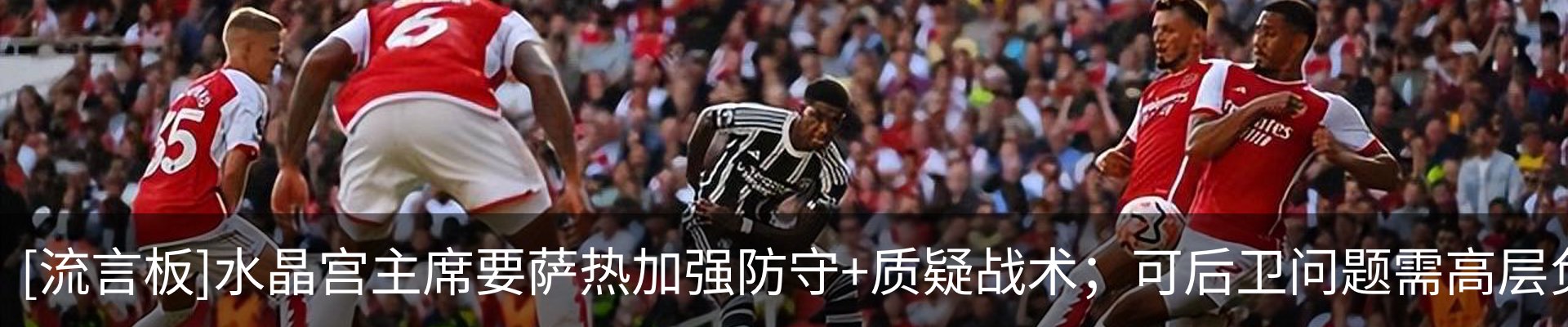 新闻动态